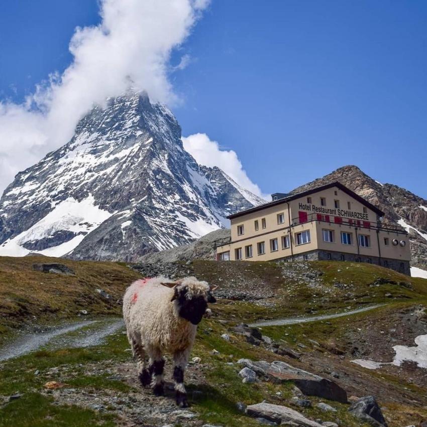 Hotel Schwarzsee زيرمات المظهر الخارجي الصورة